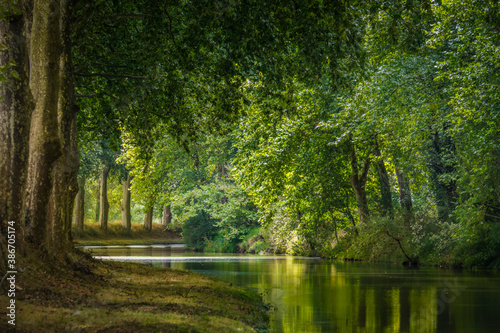 the Canal du Midi near Toulouse, in France