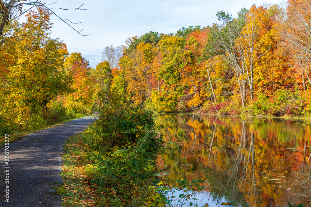 Autumn foliage near a path and a canal