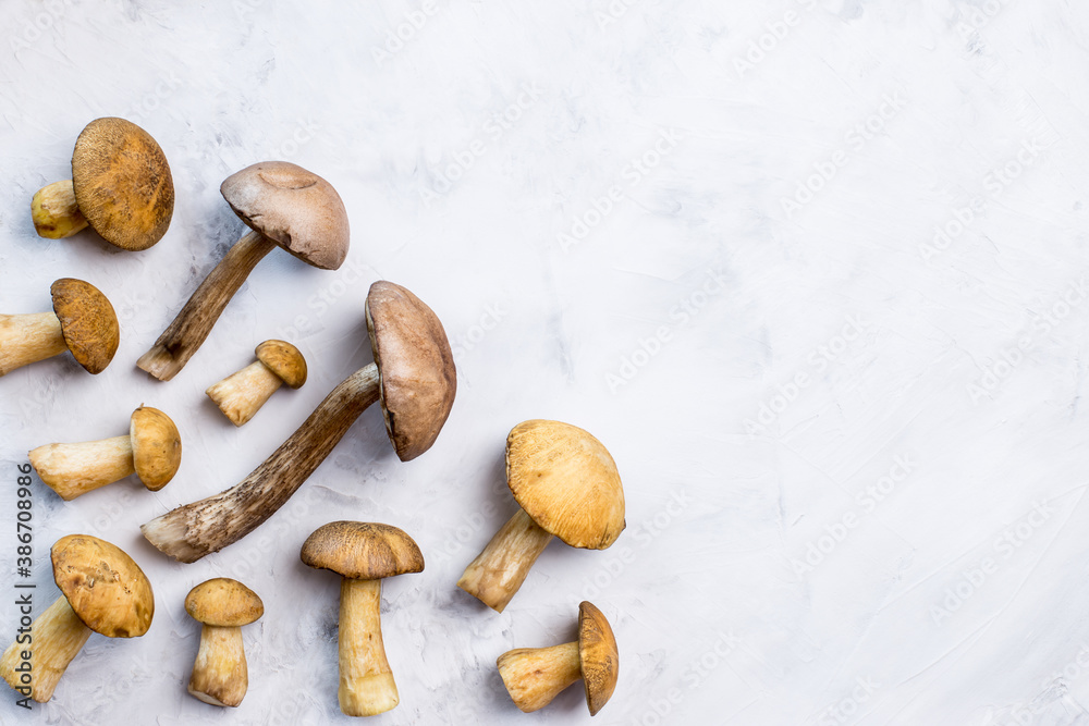 Mushrooms on a light background with free space on the right. The view from the top. Flatley. Concept of the end of summer, autumn, August. Mushrooms on a light background with free space on the right. The view from the top. Flatley. Concept of the end of summer, autumn, August.