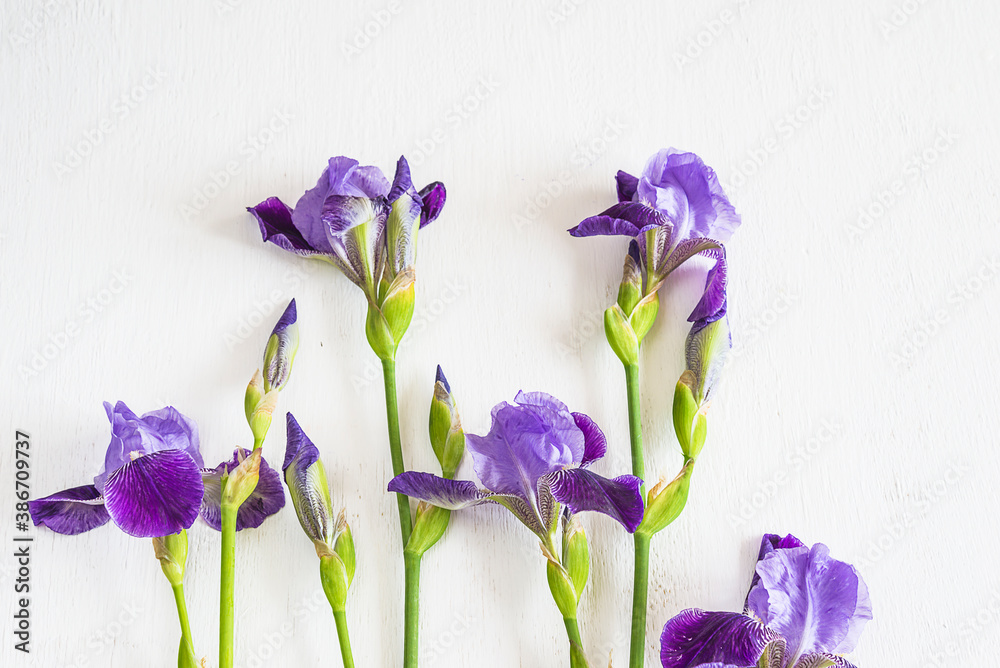 Purple iris flowers on white paint wooden background