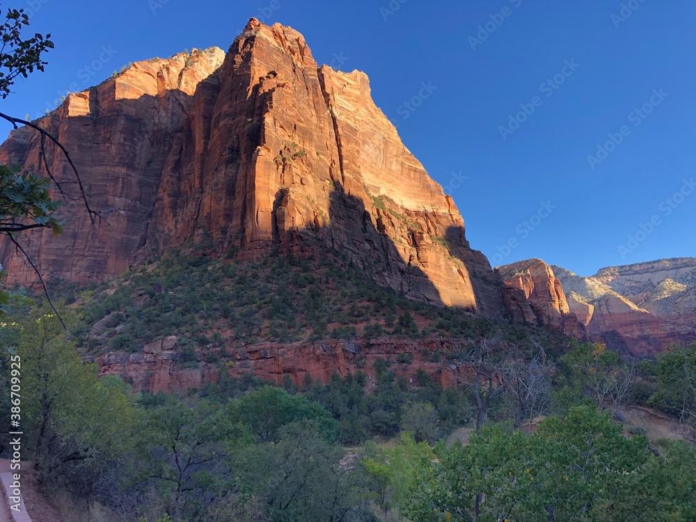 Fototapeta premium park