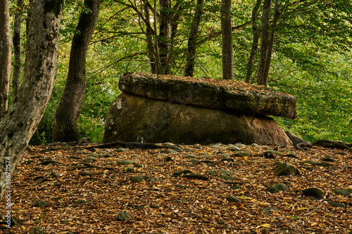 ancient megalith dolmen among trees in an autumn grove