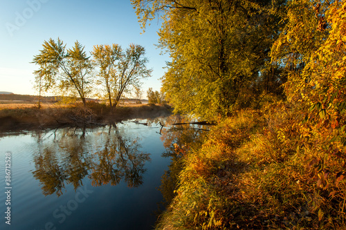 Fototapeta Naklejka Na Ścianę i Meble -  Reflection of trees along the bank of stream with autumn foliage over water 