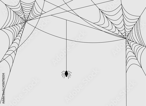 Black spider and torn web. Scary spiderweb of halloween symbol. Isolated on white. Spooky spider web for Halloween decoration. Vector illustration