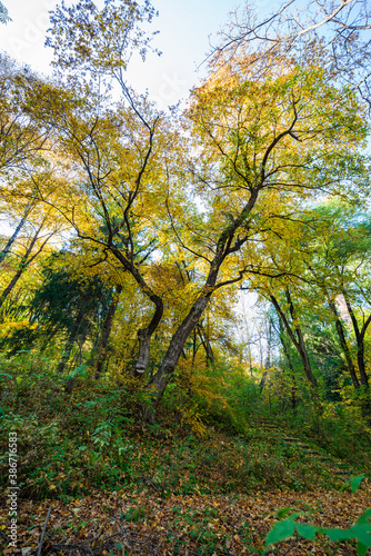 Beautiful autumn landscape in Vanadzor's botanical garden © vahanabrahamyan