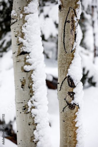 Snow at Deer Valley, Utah, near Salt Lake City during ski season.. photo