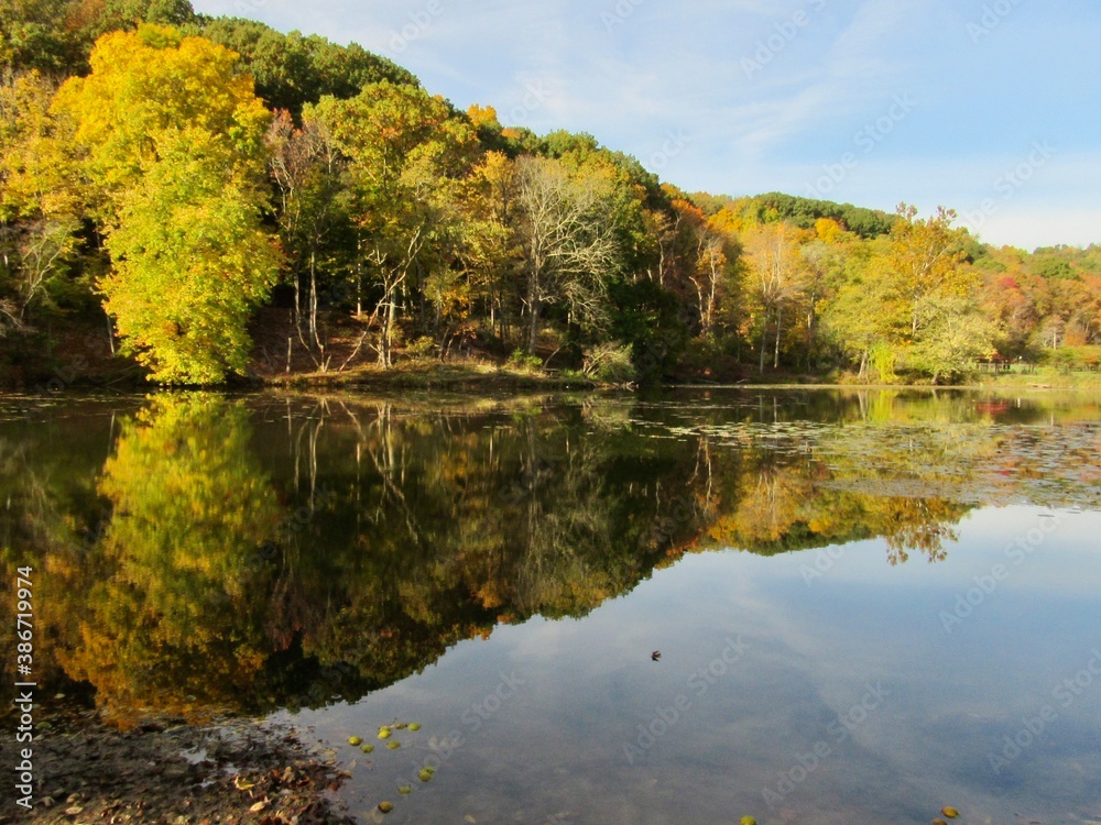 autumn trees reflected in water