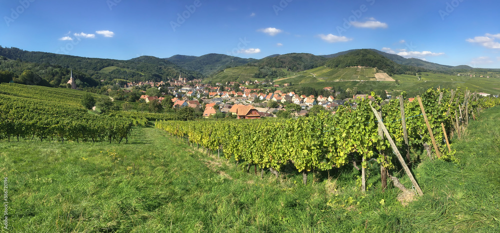 Among the idyllic vineyards in Alsace, France