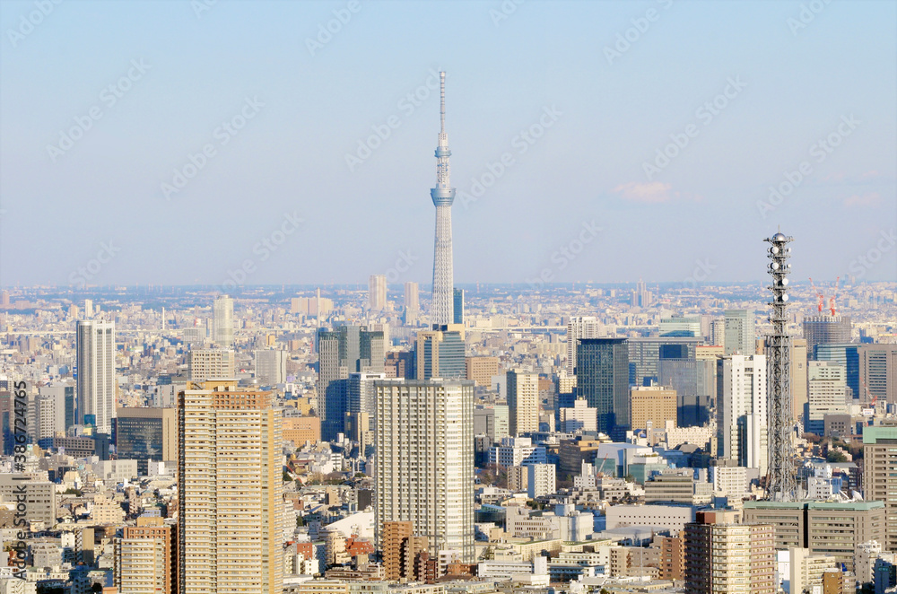 スカイツリーの見える俯瞰の東京の町並み Stock Photo Adobe Stock