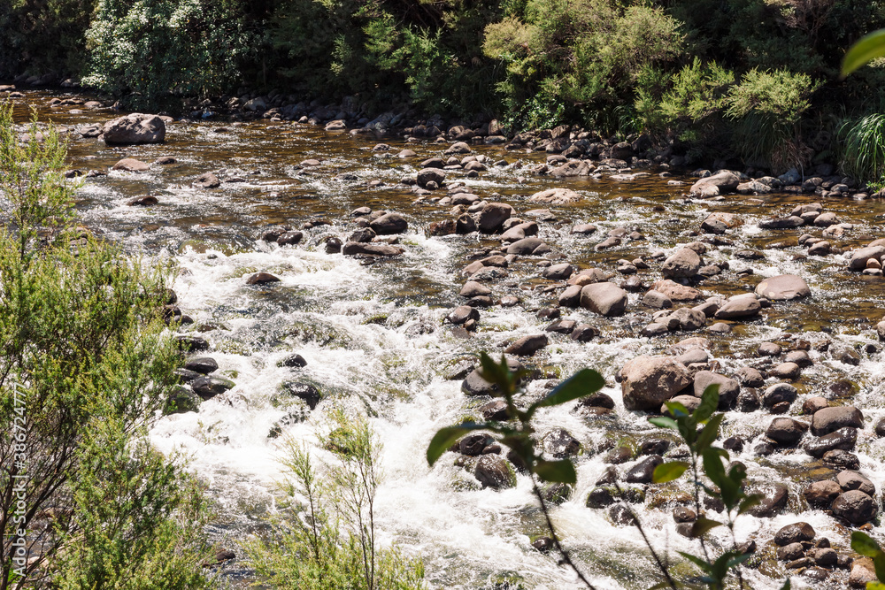 High angle view of Kauaeranga River with rapids in New Zealand High angle view of Kauaeranga River with rapids in New Zealand