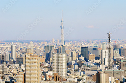 スカイツリーの見える俯瞰の東京の町並み