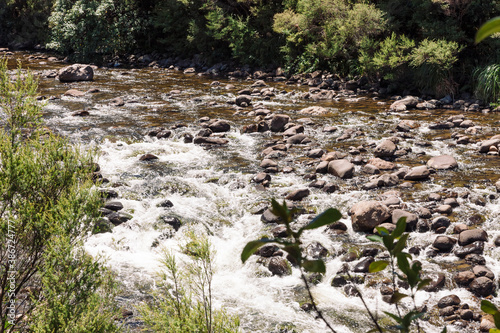 High angle view of Kauaeranga River with rapids in New Zealand photo