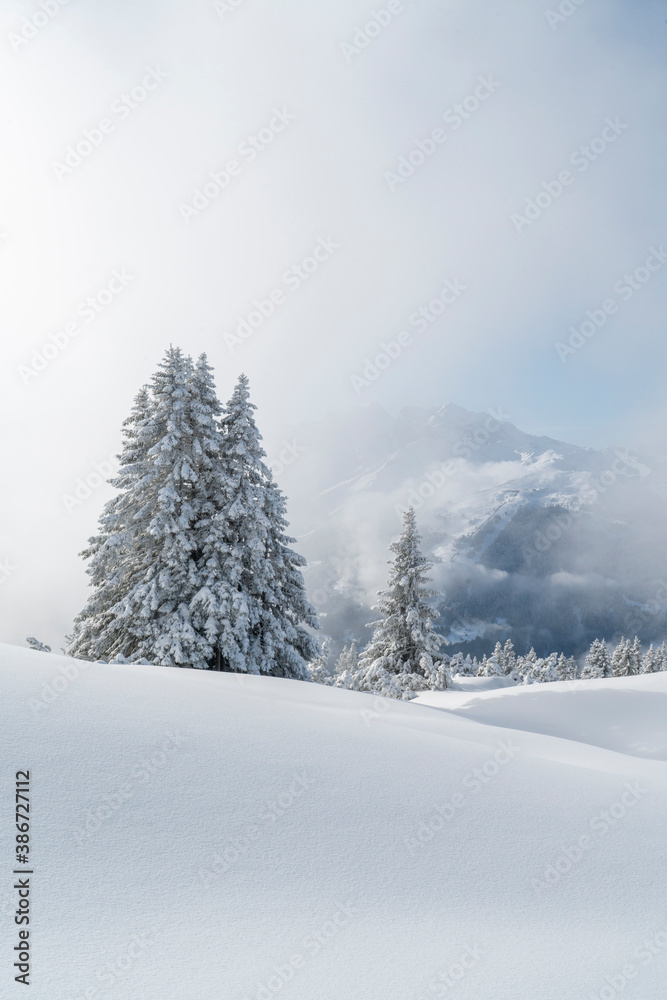 Winter in den Alpen