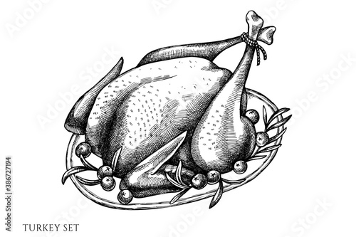 Vector set of hand drawn black and white turkey