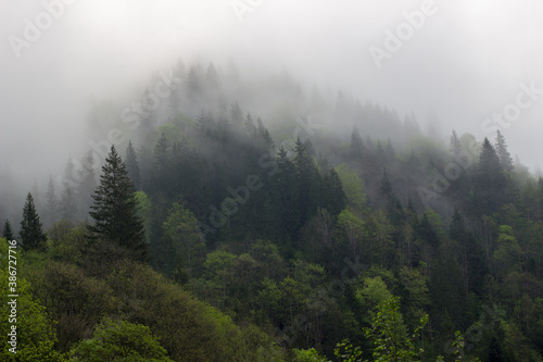 fog in the mountains