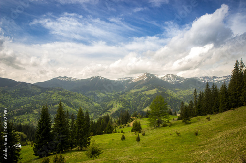 landscape in the mountains