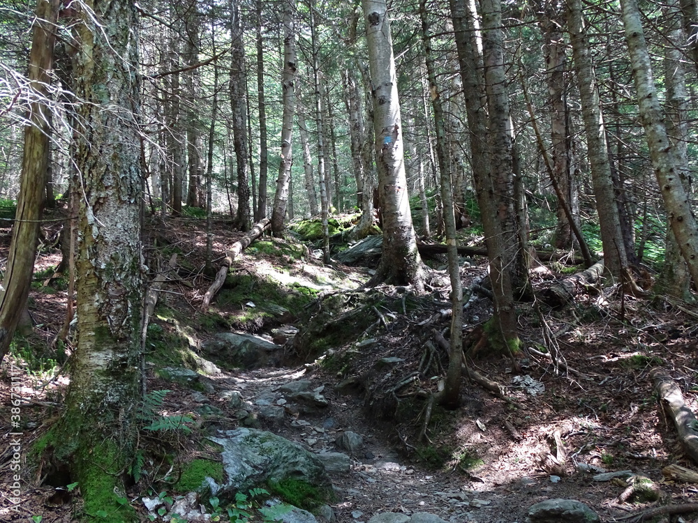 Fototapeta premium Mount Mansfield
