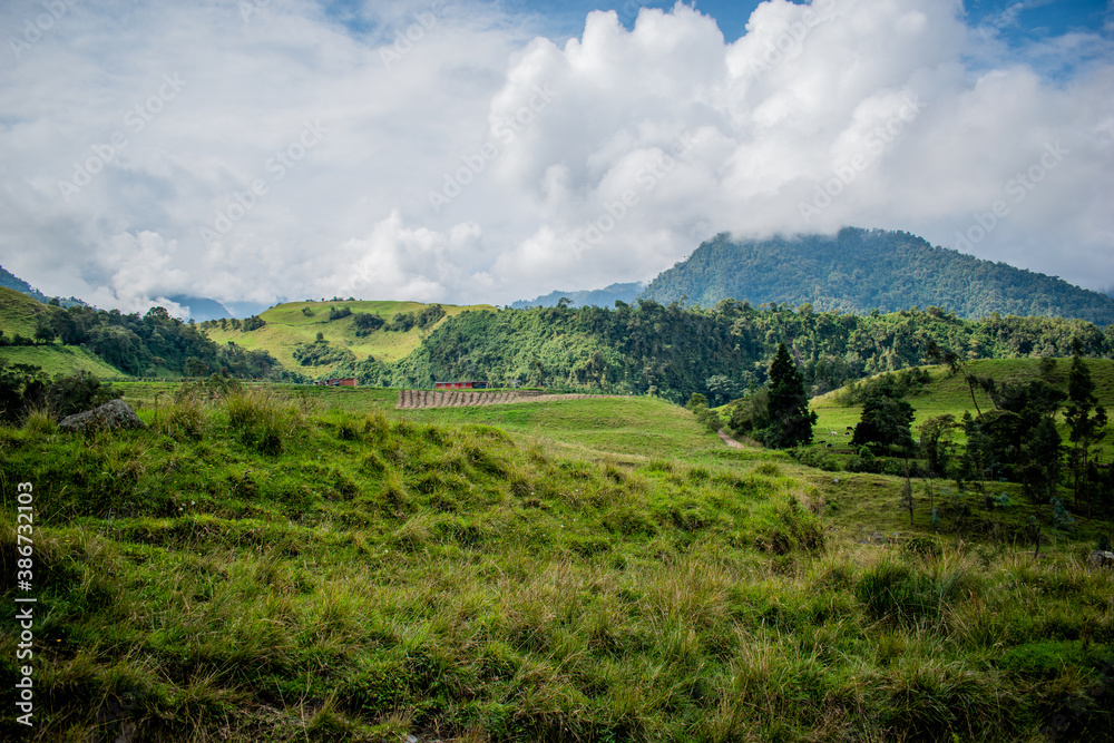paisaje, vegetación, nubes, montañas