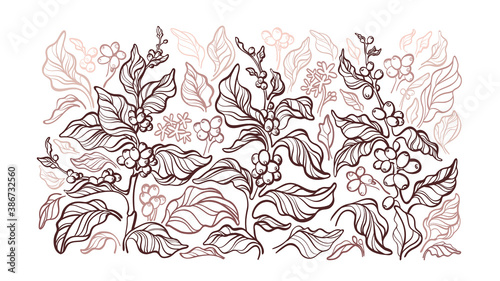 Coffee. Vector art illustration Graphic background