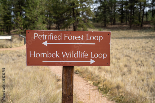 Directional sign for two trails at Florrisant Fossil Beds National Monument - Petrified Forest Loop and Hornbeck Wildlife Loop photo