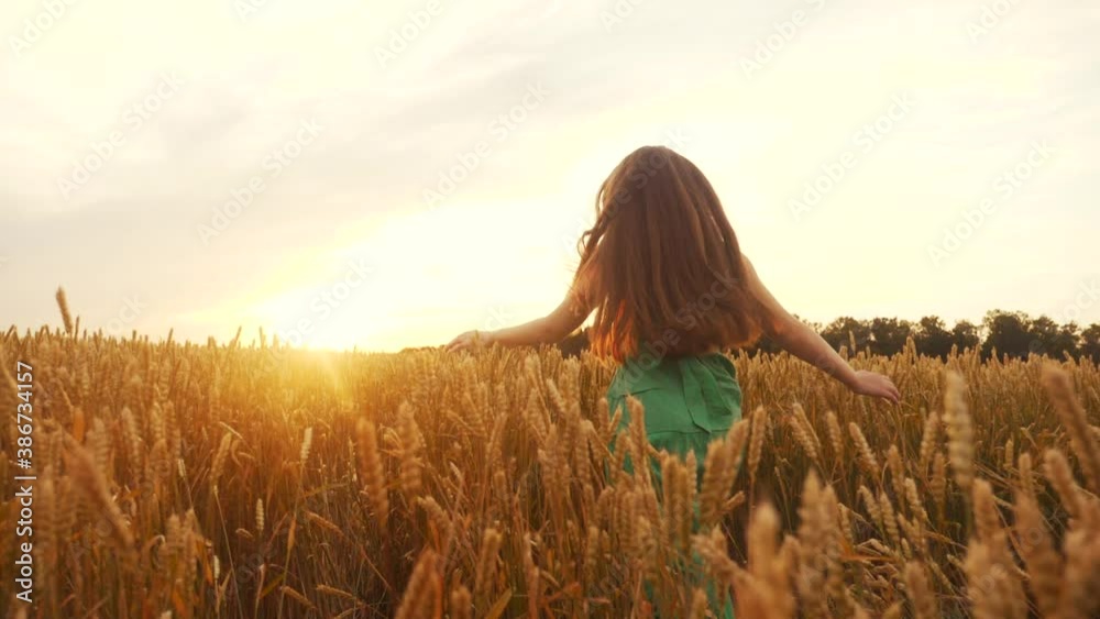 free girl run across the wheat field in the park. agriculture children kid dream concept. girl farmer hands to sides runs across the wheat field. happy free girl run in park fun agricultural land