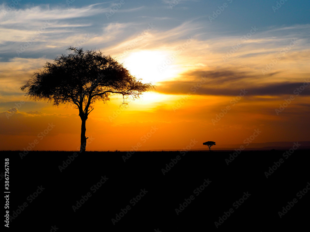 Silhouette of a tree in African savanna during sunset