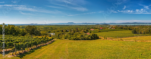 Panorama with vineyards at lake Balaton, Hungary