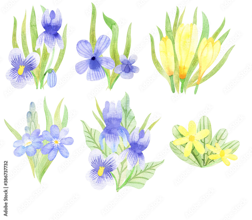 Watercolor set of flowers