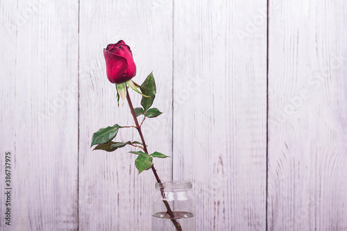 Beautiful red rose flower on wooden background