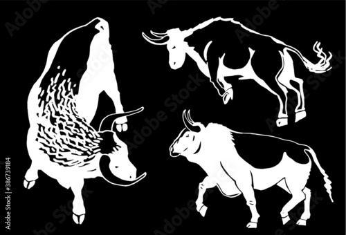 Vector set of oxen on black background, engraved illustration