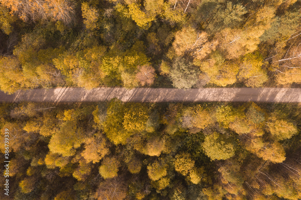 Top-down aerial view of a straight rural road going through a dense forest in autumn colours. No cars. No people.