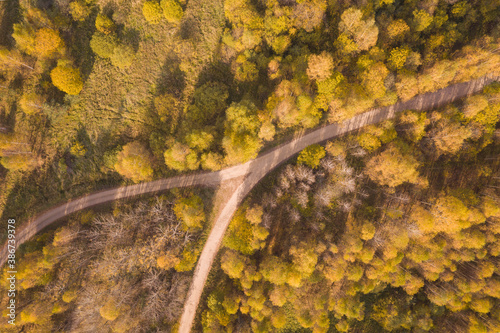 Top-down aerial view of a straight rural crossroads among a dense forest in autumn colours. No cars. No people.
