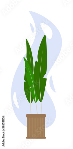 House plants and flowers in pots. Abstract lush plants.Vector illustration isolated on white. Flat style.