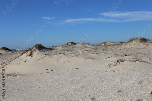 sand dunes with grass by the sea