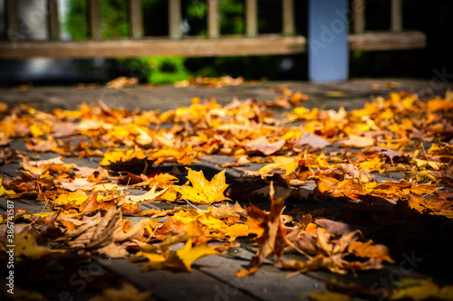 Wallpaper Mural Fall in New England Torontodigital.ca