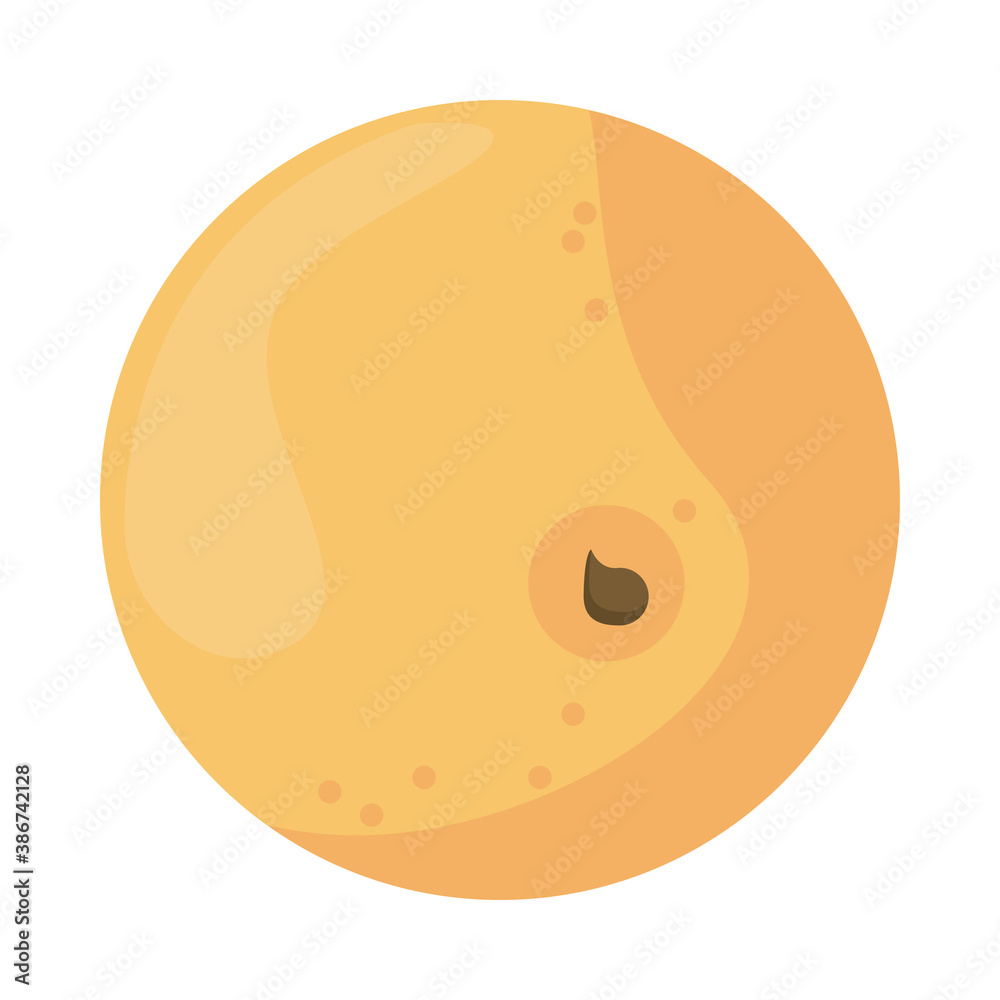 Fototapeta premium orange citrus fruit nature icon