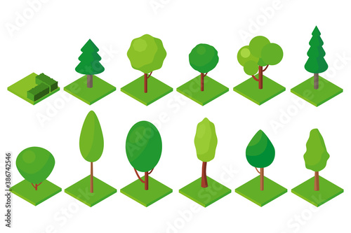 Isometric trees icon.Vector illustration isolated on white background.