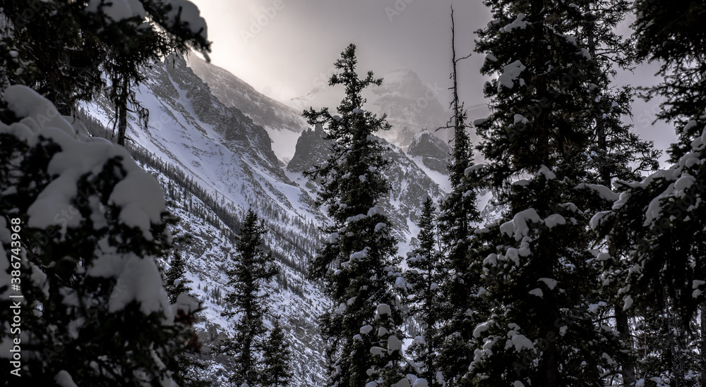 Snow covered Canadian Rocky Mountains in Banff National Park during the winter.
