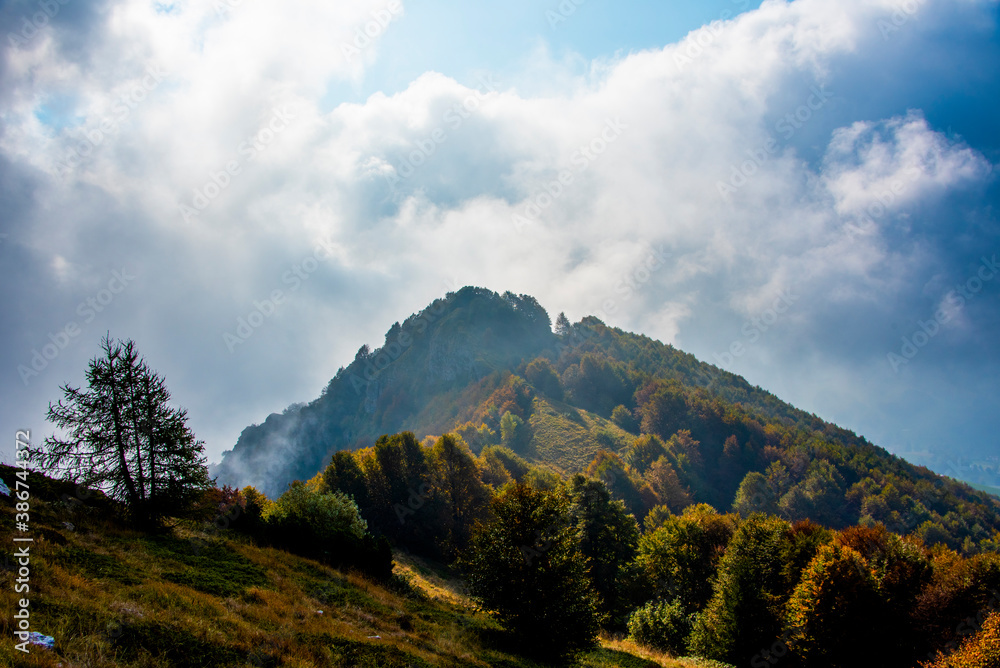 Obraz premium Trees in autumn with clouds
