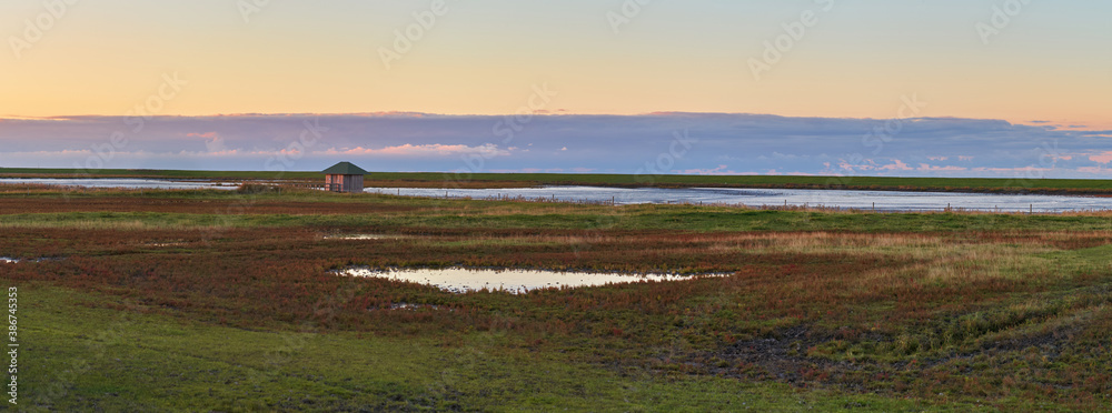 panorama picture of a puddle in a field of salicornia europaea plants after a scenic sunset during autumn at Langwarder Groden (Germany) - a wooden bird observation hut is in background