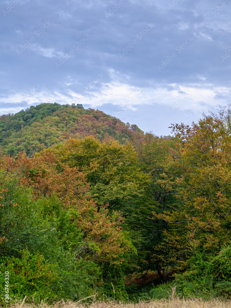 Autumn in the mountains in sunny weather Autumn in the mountains in sunny weather