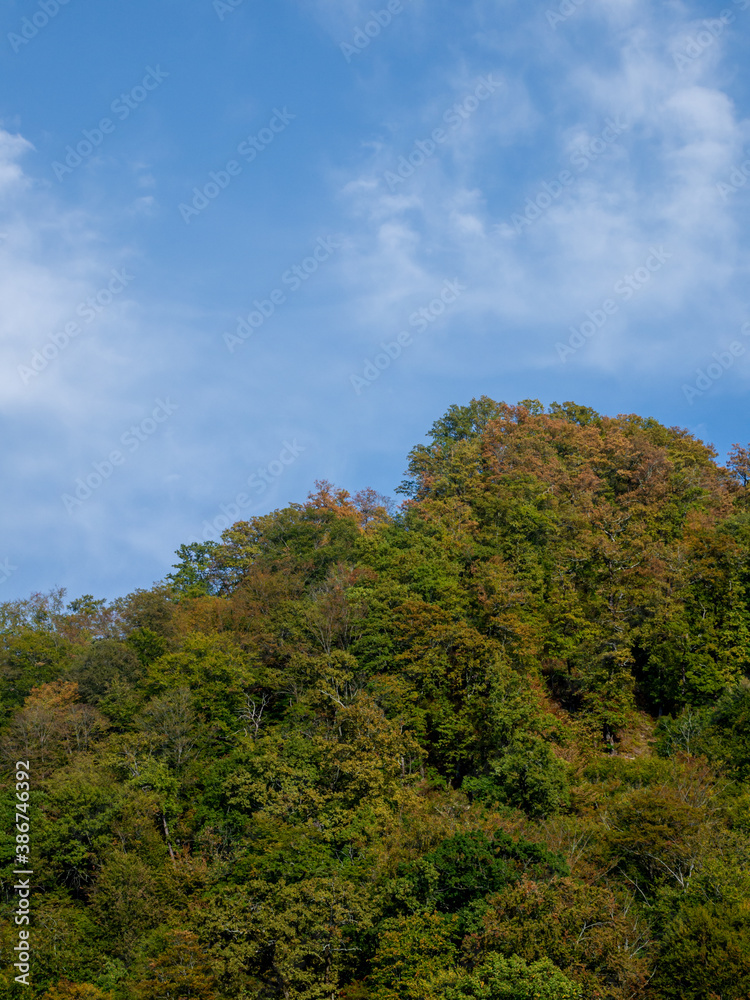 Sky in contrast with the trees in the autumn mountains Sky in contrast with the trees in the autumn mountains