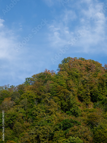 Sky in contrast with the trees in the autumn mountains