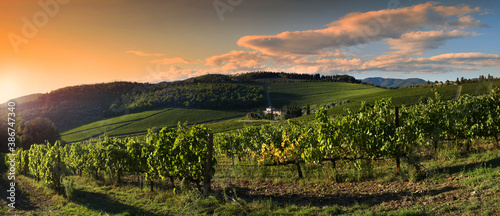 Autumnal season, beautiful sunset on rows of vineyards in Tuscany near Florence. Chianti Classico Area. Italy.