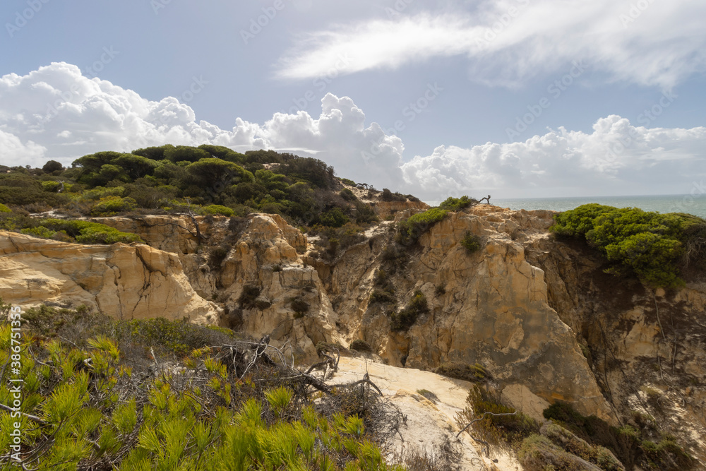 unas vistas de la bella playa de Mazagon, situada en la provincia de Huelva,España. acantilados,pinos y vegetacion