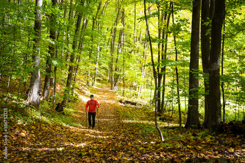 Active healthy man hiking in beautiful autumn forest