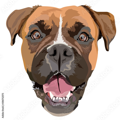 German boxer vector illustration. Portrait