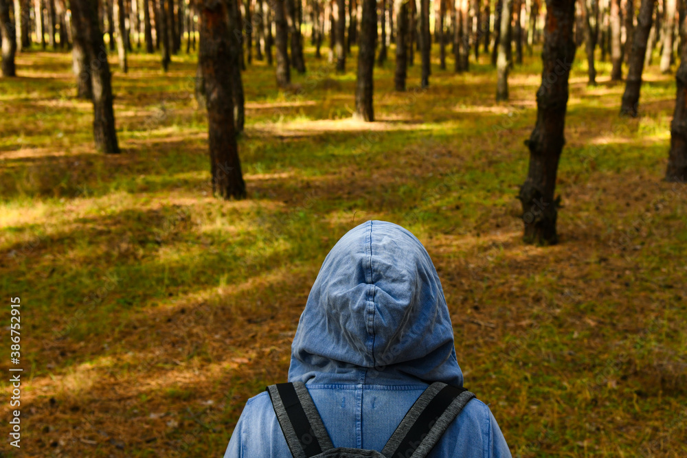 Tourist with a backpack and a hood at evergreen pine forest. Travel, ecotourism, ecology, local tourism concept, natural background with an explorer in a hoodie and coniferous trees Tourist with a backpack and a hood at evergreen pine forest. Travel, ecotourism, ecology, local tourism concept, natural background with an explorer in a hoodie and coniferous trees