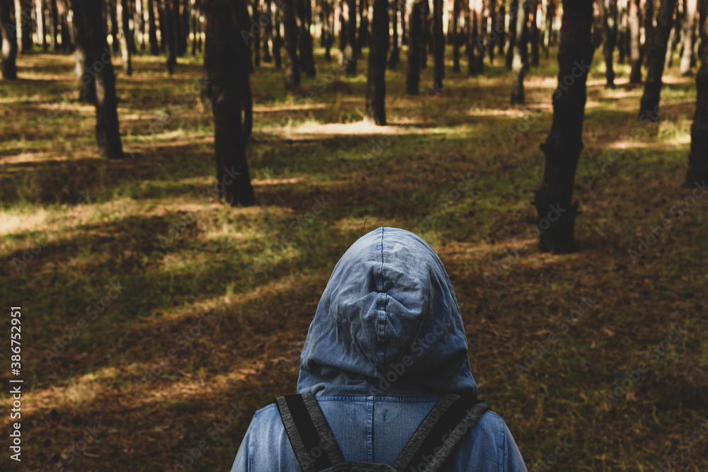Tourist with a backpack and a hood at evergreen pine forest. Travel, ecotourism, ecology, local tourism concept, natural background with an explorer in a hoodie and coniferous trees Tourist with a backpack and a hood at evergreen pine forest. Travel, ecotourism, ecology, local tourism concept, natural background with an explorer in a hoodie and coniferous trees