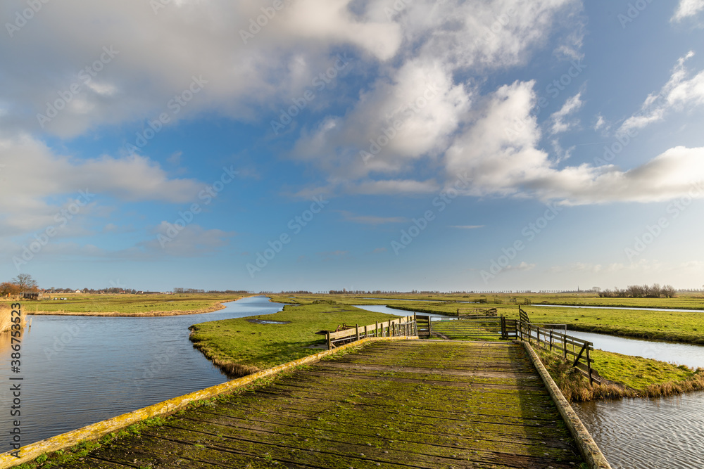 natural landscape in springtime with blue sky and white clouds

